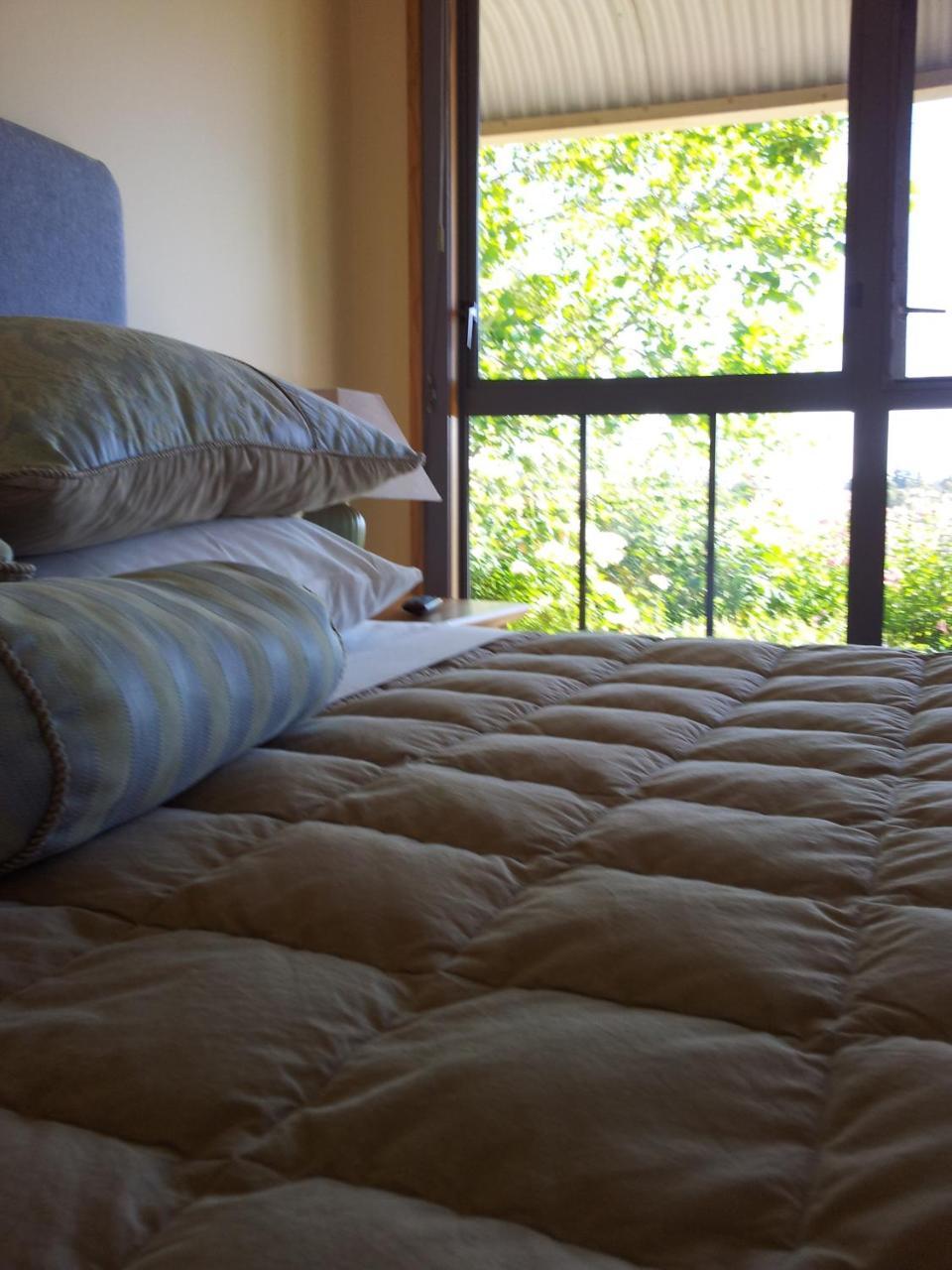 Hawkdun Rise Vineyard & Accommodation Alexandra Esterno foto