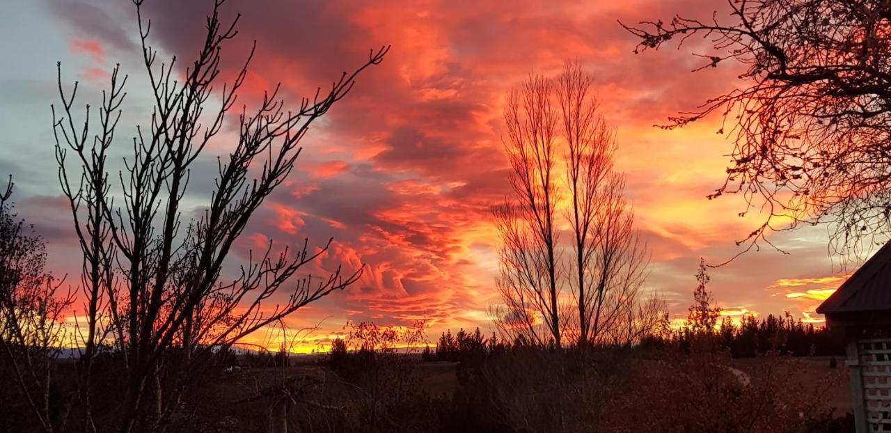 Hawkdun Rise Vineyard & Accommodation Alexandra Esterno foto
