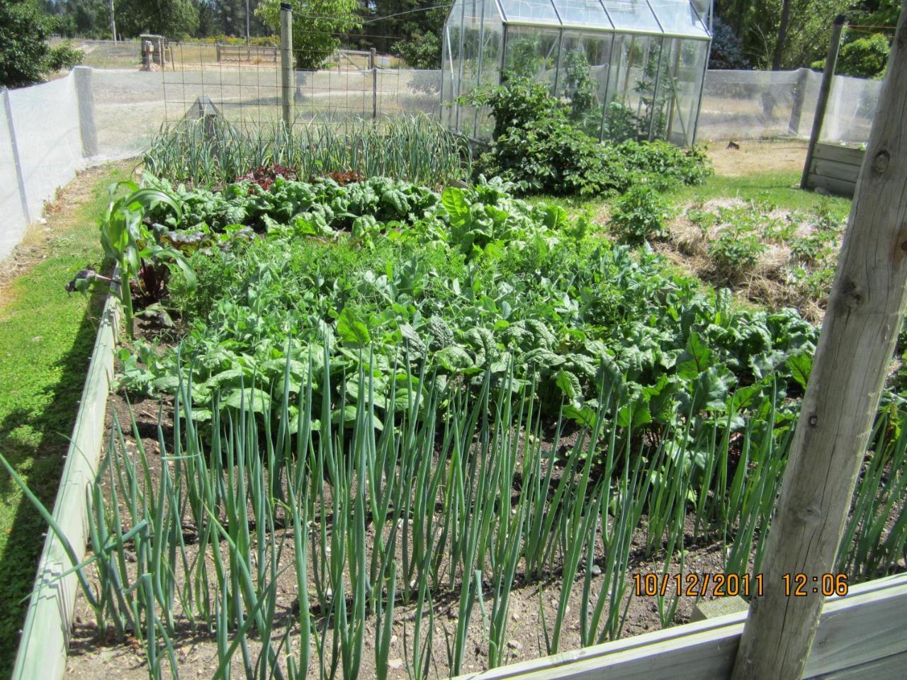 Hawkdun Rise Vineyard & Accommodation Alexandra Esterno foto
